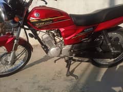 YB 125Z  2022  RED 0