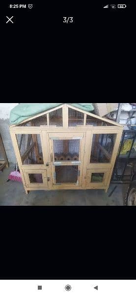 parrot house