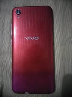 vivo