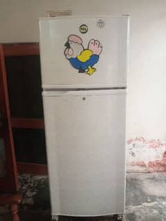 Pel refrigerator big size