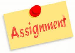 Assignment work he Roz k 500 Milengy Daily peyment method