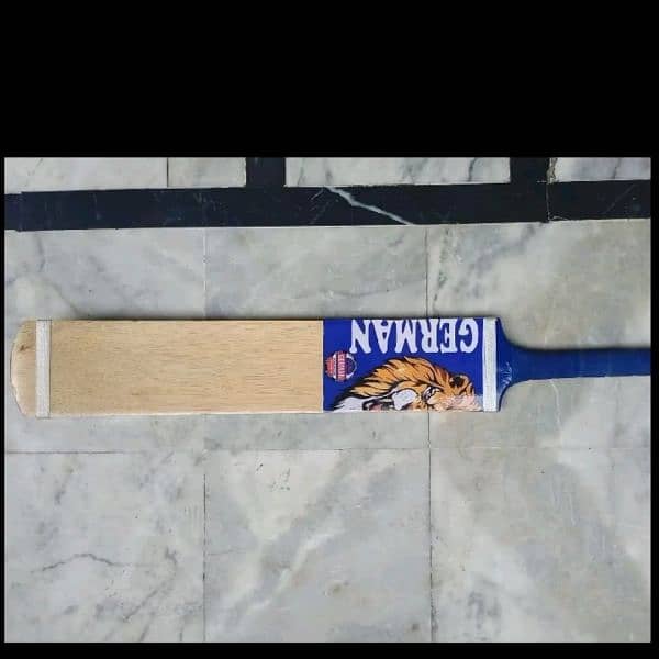 cricket bat 3