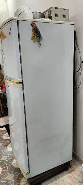 Fridge Waves condition 9 by 10 hai all oky no open no repair. 1