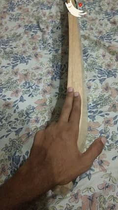 coconut bat for sale