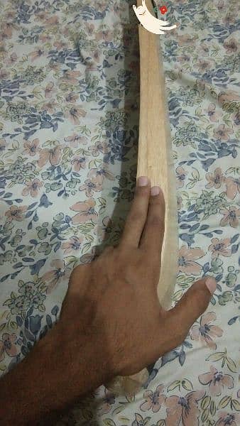 coconut bat for sale 0