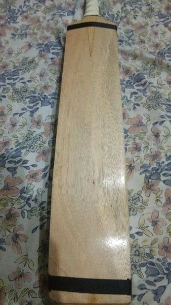 coconut bat for sale 3