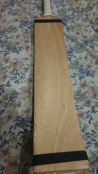 coconut bat for sale 4