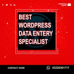 Wordpress Data Entry Specialist Services 0