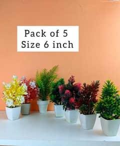 Pack of 5 Medium 6 inch Plant Artificial Decoration