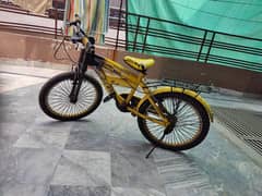 bicycle medium size