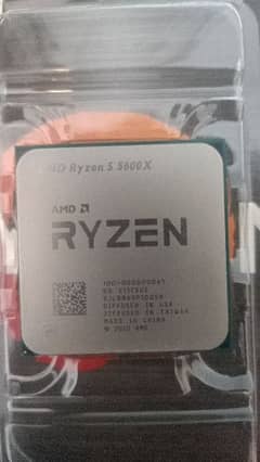 Ryzen 5 5600X Processor