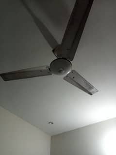 celling fan 0