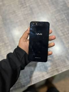 Vivo