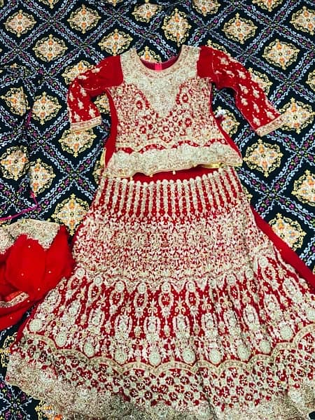 Bridle Lehnga 0