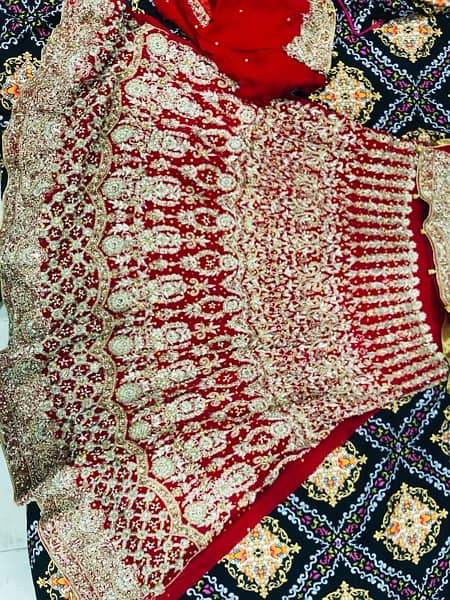 Bridle Lehnga 1