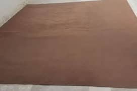 carpet camel brown color