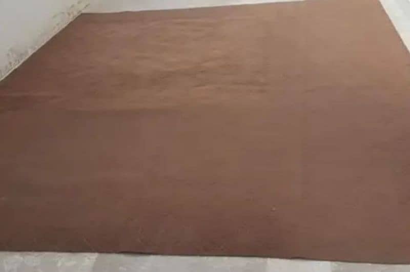 carpet camel brown color 0