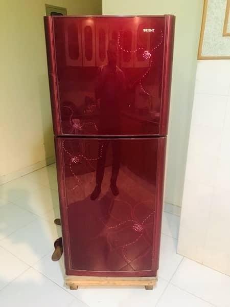 ORIENT GLASS DOOR FRIDGE 1