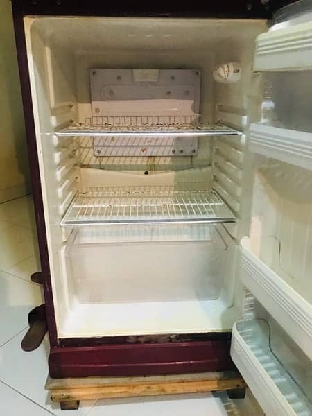 ORIENT GLASS DOOR FRIDGE 5