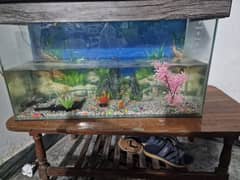 4 Four fish aquarium