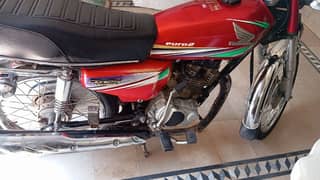 United 125cc 2019 03008667045