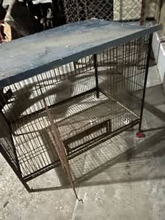 solid cage for big birds for sale