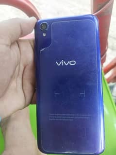 vivo