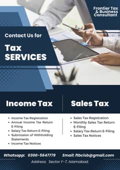 Tax Consultant