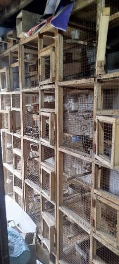 Finches Wooden Cage for Sale -  5x1 - 2x1 - 3x1 - 1x1