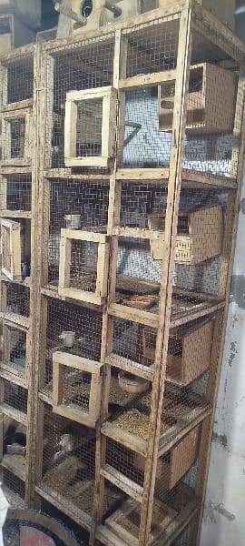 Finches Wooden Boxes for Sale 0