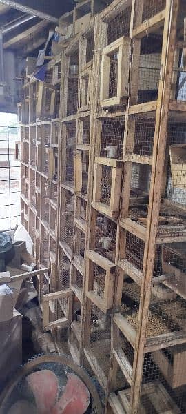 Finches Wooden Boxes for Sale 1