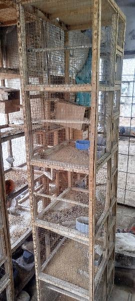 Finches Wooden Boxes for Sale 4