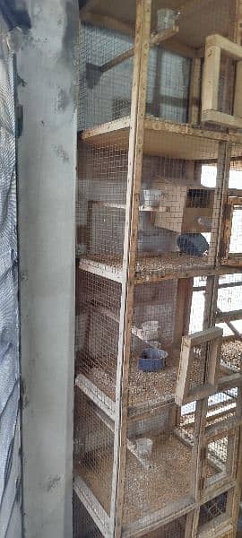 Finches Wooden Boxes for Sale 5