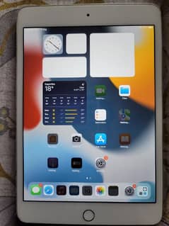 Ipad 4 mini