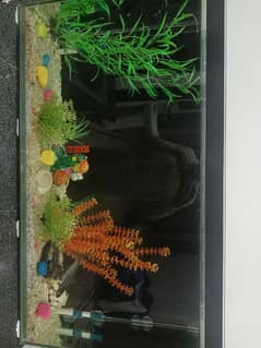 1 Fish Aquarium All Good Condition 0