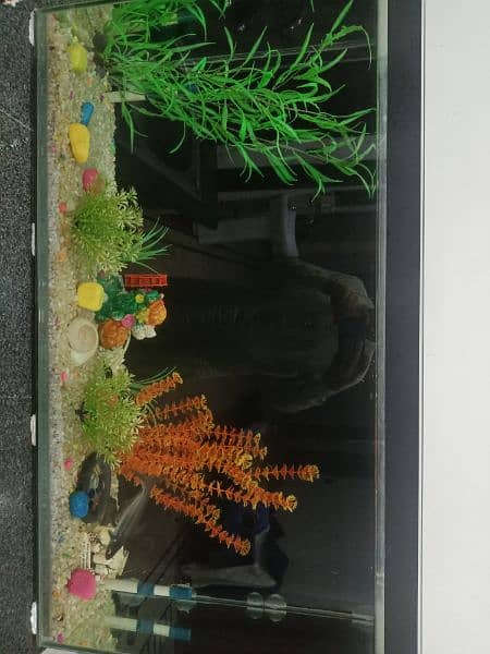 1 Fish Aquarium All Good Condition 0