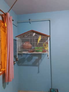 Big cage