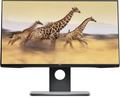 24" Inch Dell InfinityEdge 4 sides Borderless PLS-IPS LED Monitor 0