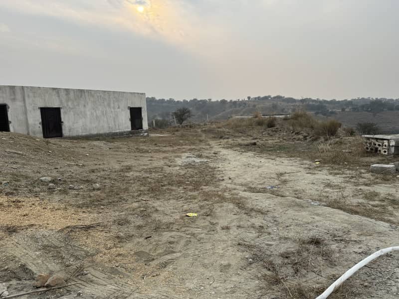 160 Land Chakwal Fish Pond Olive Land 3