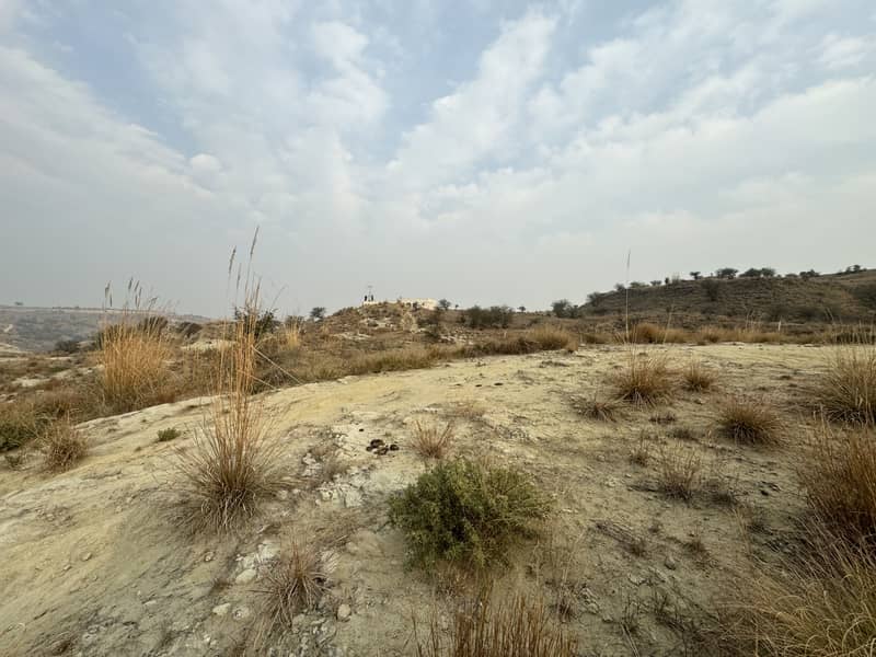 160 Land Chakwal Fish Pond Olive Land 19