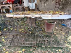 cage loha almost brand new quality 2 doors size 2ft x 4ft, trash try