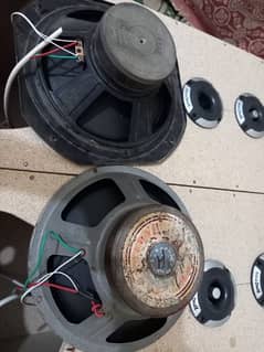 Amplifier speakers