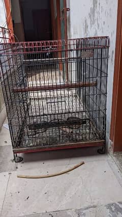 2 Cages Available In Good Condition