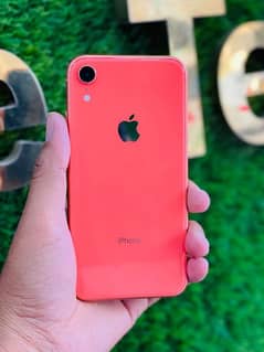 IPhone Xr 64GB 0