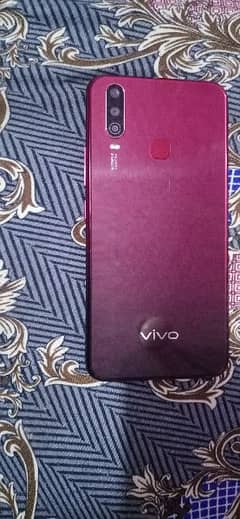 Vivo