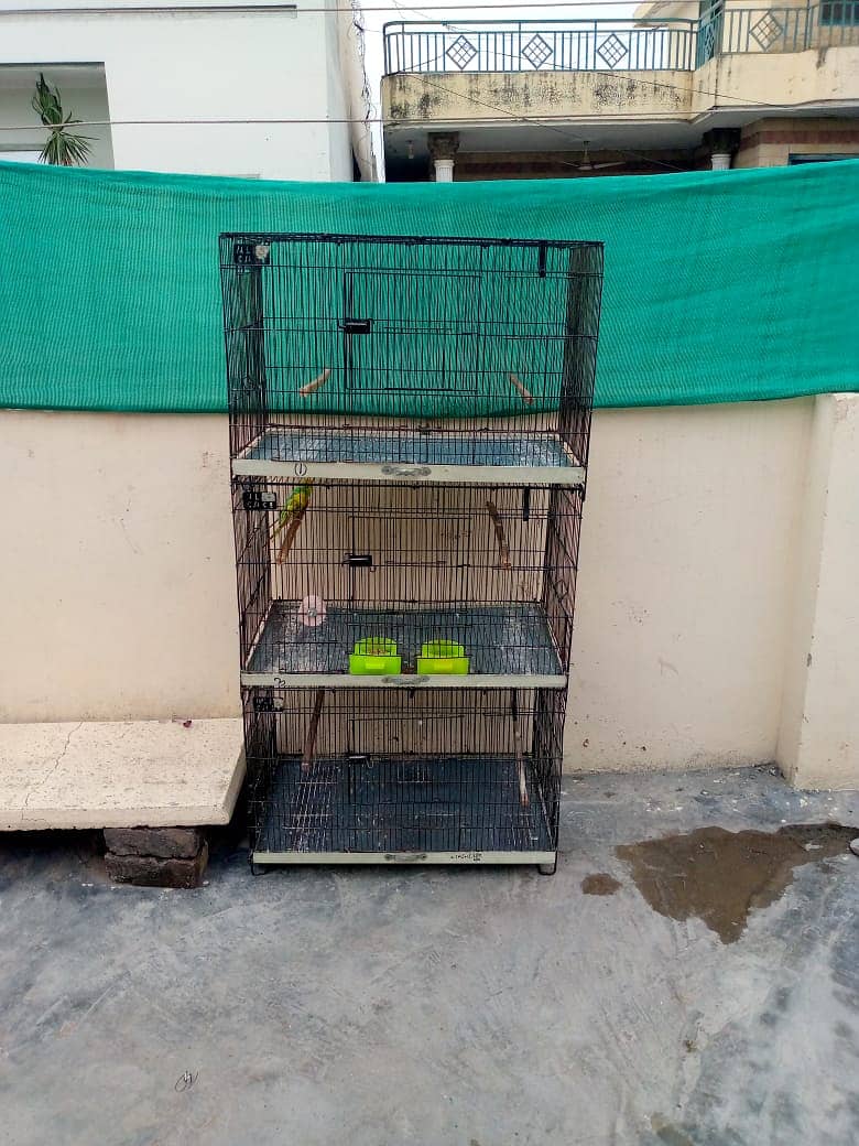 3 birds cages 4500per peiece (total 13000) 2