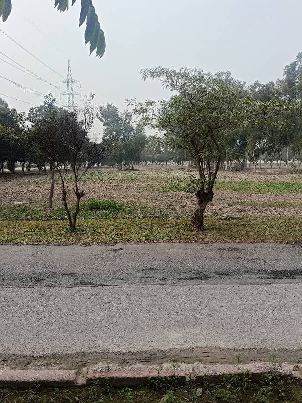 4 KANAL PLOT AVAILABLE URGENT SALE 2