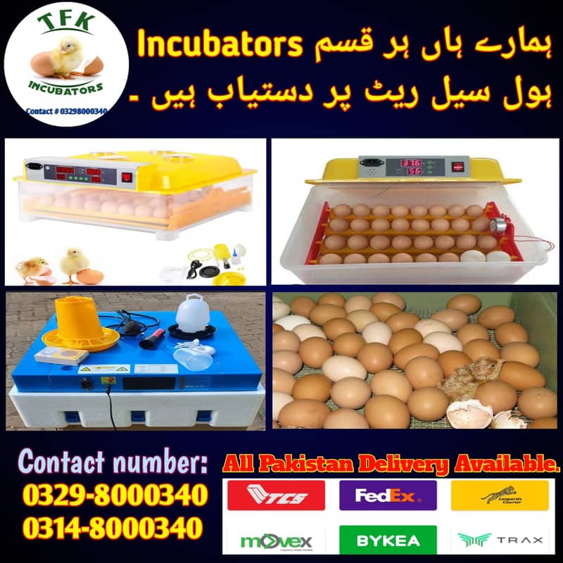 AC DC incubator|Automatic Incubator | Eggs Hatching Machine | Brooder/ 1