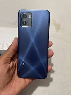 vivo