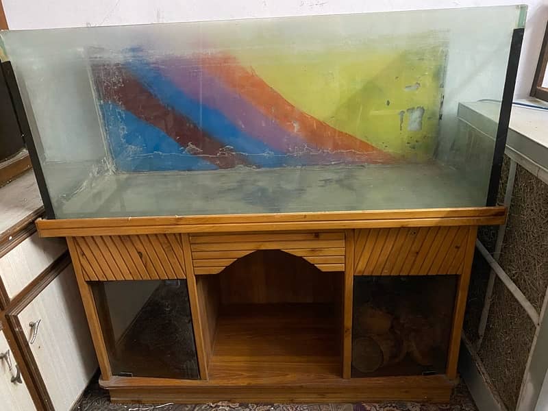 fish aquarium 0